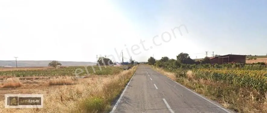 Tekirdağ Gazioğlu-husunlu Arasnda Asfalt Yol Üzeri Satılık Tarla — fotoğraf 7