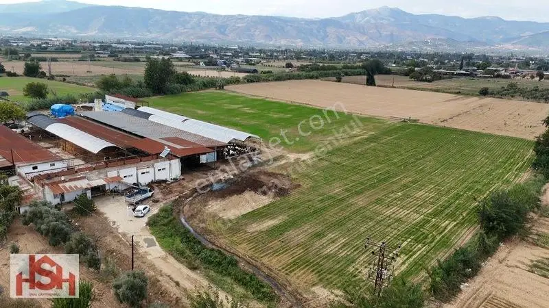 Çevre Yolunun Dibin'de Son Sistem Hayvam Damı Ve Arsası. — fotoğraf 2