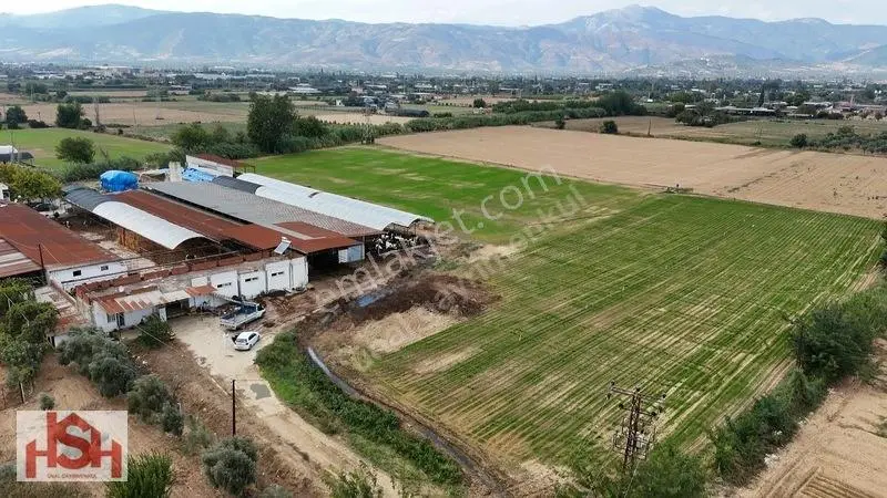 Çevre Yolunun Dibin'de Son Sistem Hayvam Damı Ve Arsası. — fotoğraf 4