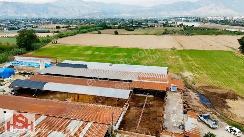 Çevre Yolunun Dibin'de Son Sistem Hayvam Damı Ve Arsası. — fotoğraf 5