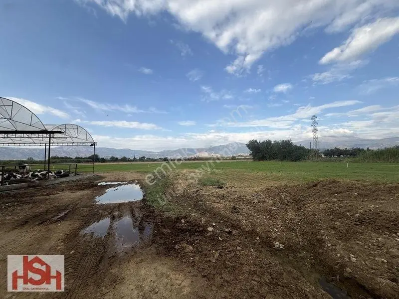 Çevre Yolunun Dibin'de Son Sistem Hayvam Damı Ve Arsası. — fotoğraf 15