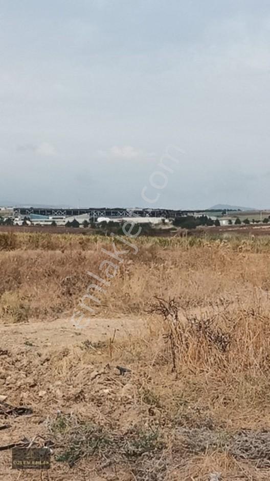 Özlem'den Bursa Karacabey Aşağı Fevzipaşa 1.435 M2 Fırsat Tarla — fotoğraf 2