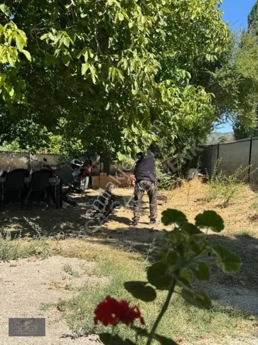 Uşak Hasanköy Köyü Satılık 27.000 M2 Tarla — fotoğraf 3