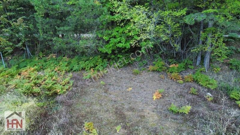 Alaçam'da Asfalt Yola Cephe 550 M2 Hobi Bahçesi — fotoğraf 6