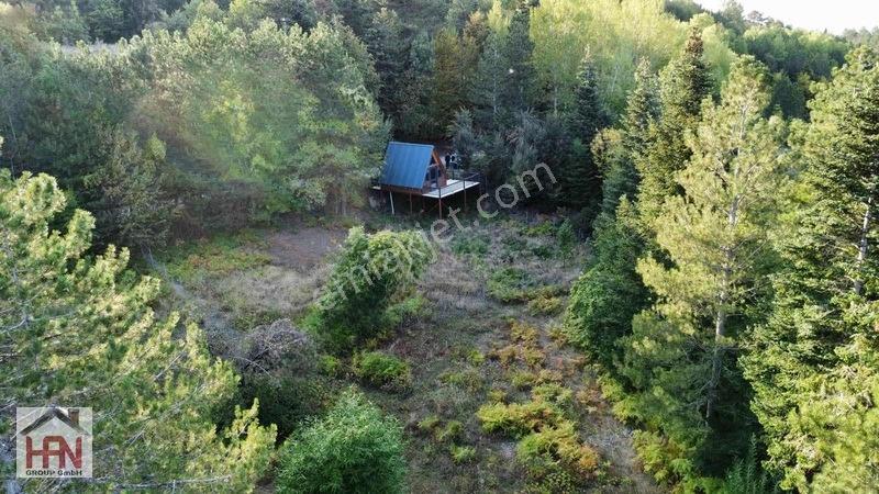 Alaçam'da Asfalt Yola Cephe 550 M2 Hobi Bahçesi — fotoğraf 8