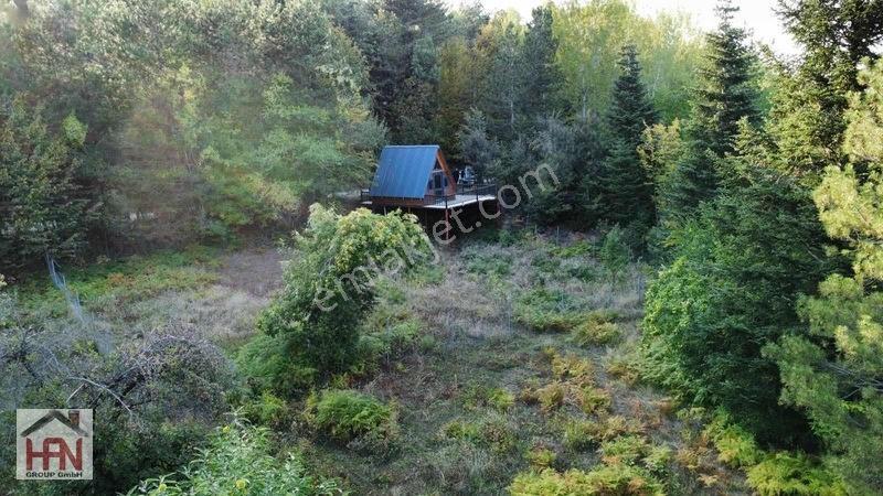 Alaçam'da Asfalt Yola Cephe 550 M2 Hobi Bahçesi — fotoğraf 11