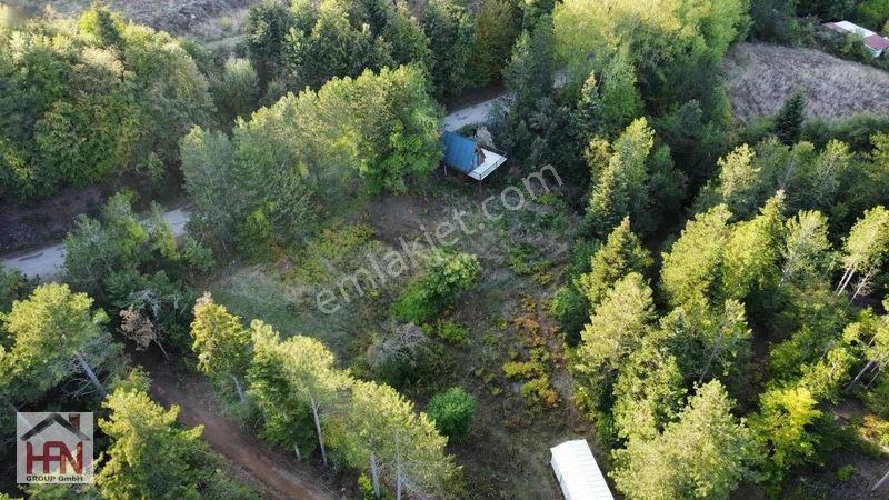 Alaçam'da Asfalt Yola Cephe 550 M2 Hobi Bahçesi — fotoğraf 18