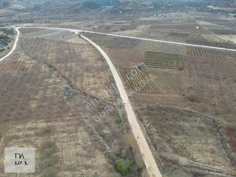 Uluborlu'Da Asfalta Cephe 3000 M² Satılık Meyve Bahçesi