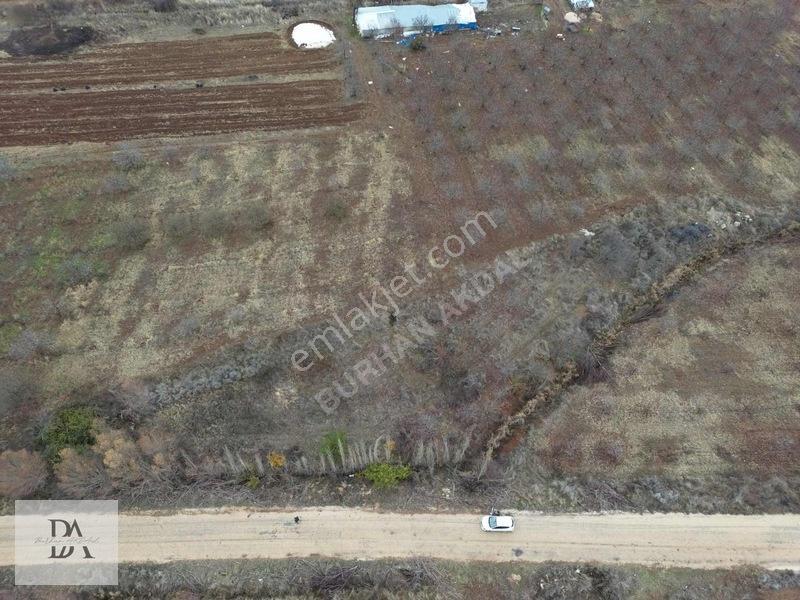 Uluborlu'da Asfalta Cephe 3000 M² Satılık Meyve Bahçesi — fotoğraf 3