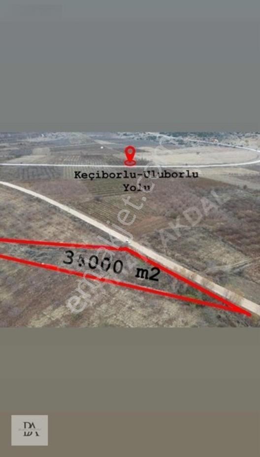 Uluborlu'da Asfalta Cephe 3000 M² Satılık Meyve Bahçesi — fotoğraf 5