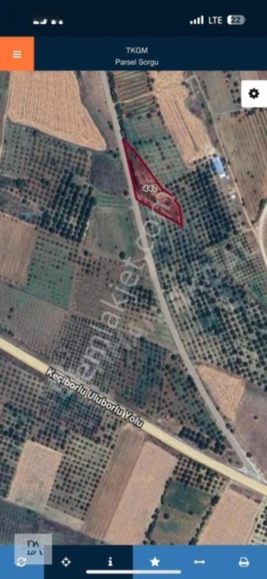 Uluborlu'da Asfalta Cephe 3000 M² Satılık Meyve Bahçesi — fotoğraf 7