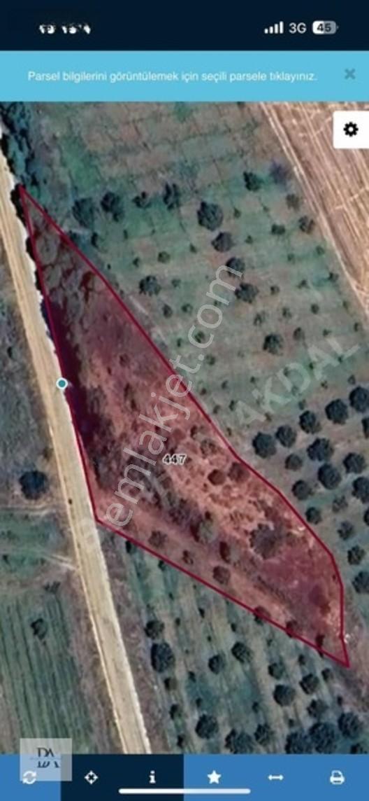 Uluborlu'da Asfalta Cephe 3000 M² Satılık Meyve Bahçesi — fotoğraf 8