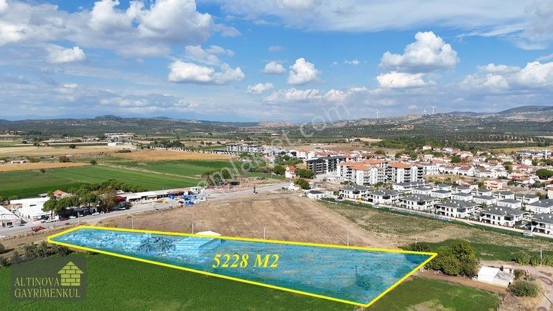 Altınova İskele Yolu Üzeri İmar Sınırında Fırsat Tarla — fotoğraf 4