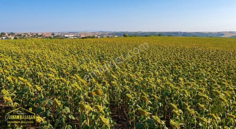 Karacakılavuzda Gelişen Bölgede 2.550 M² Yatırım Fırsatı — fotoğraf 5