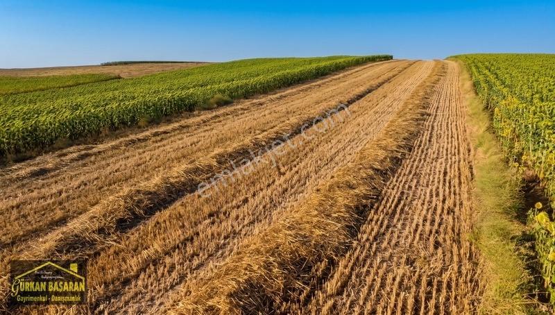 Karacakılavuzda Gelişen Bölgede 2.550 M² Yatırım Fırsatı — fotoğraf 6