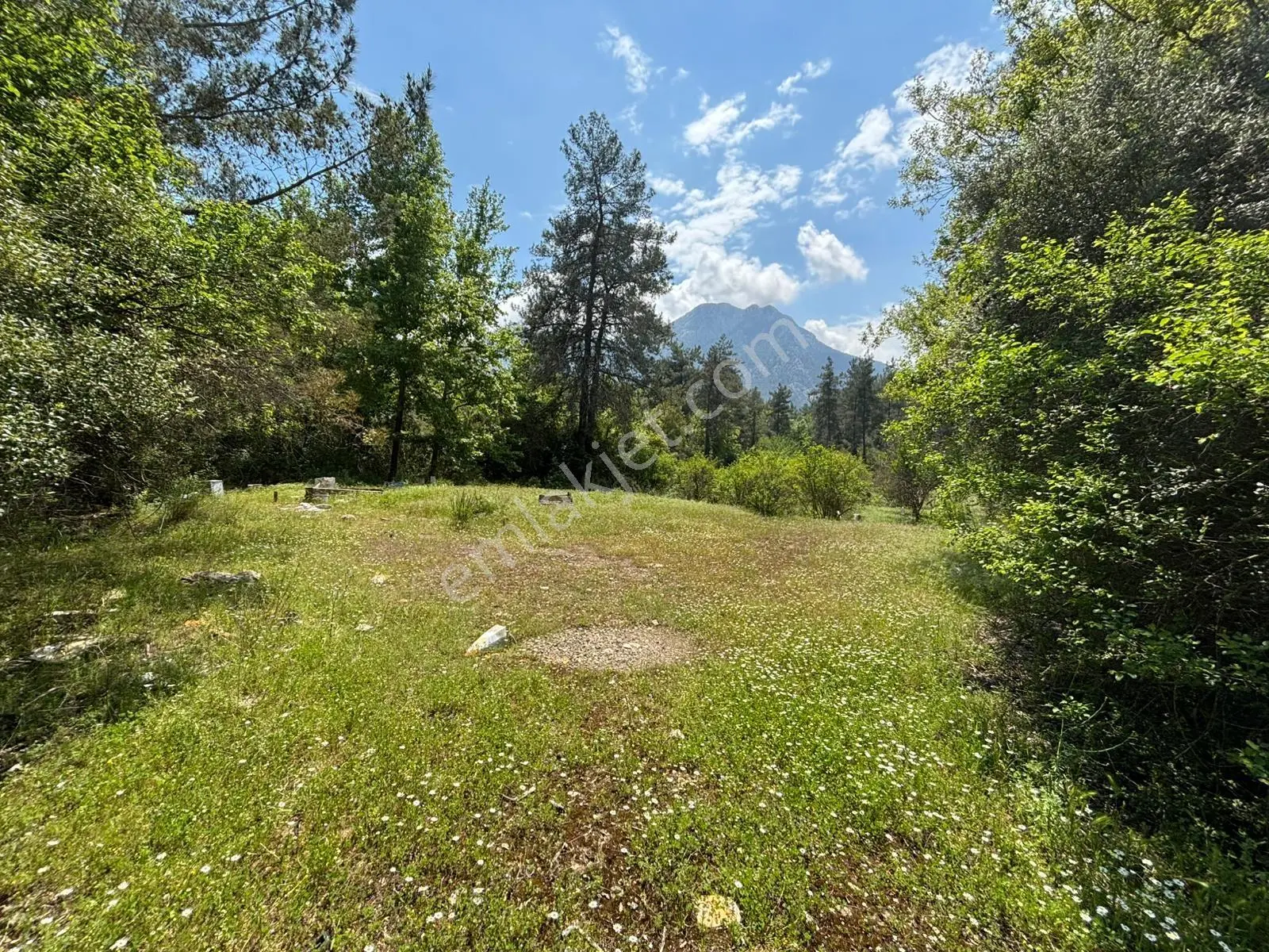 Doğa Harikası Konum 5,5 Dönüm Tek Parsel Kupon Arazi