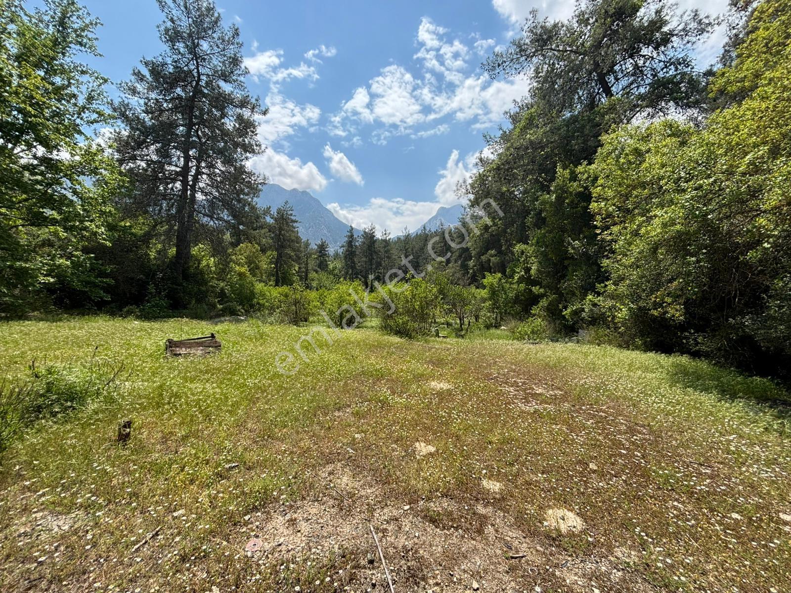 Doğa Harikası Konum 5,5 Dönüm Tek Parsel Kupon Arazi — fotoğraf 4
