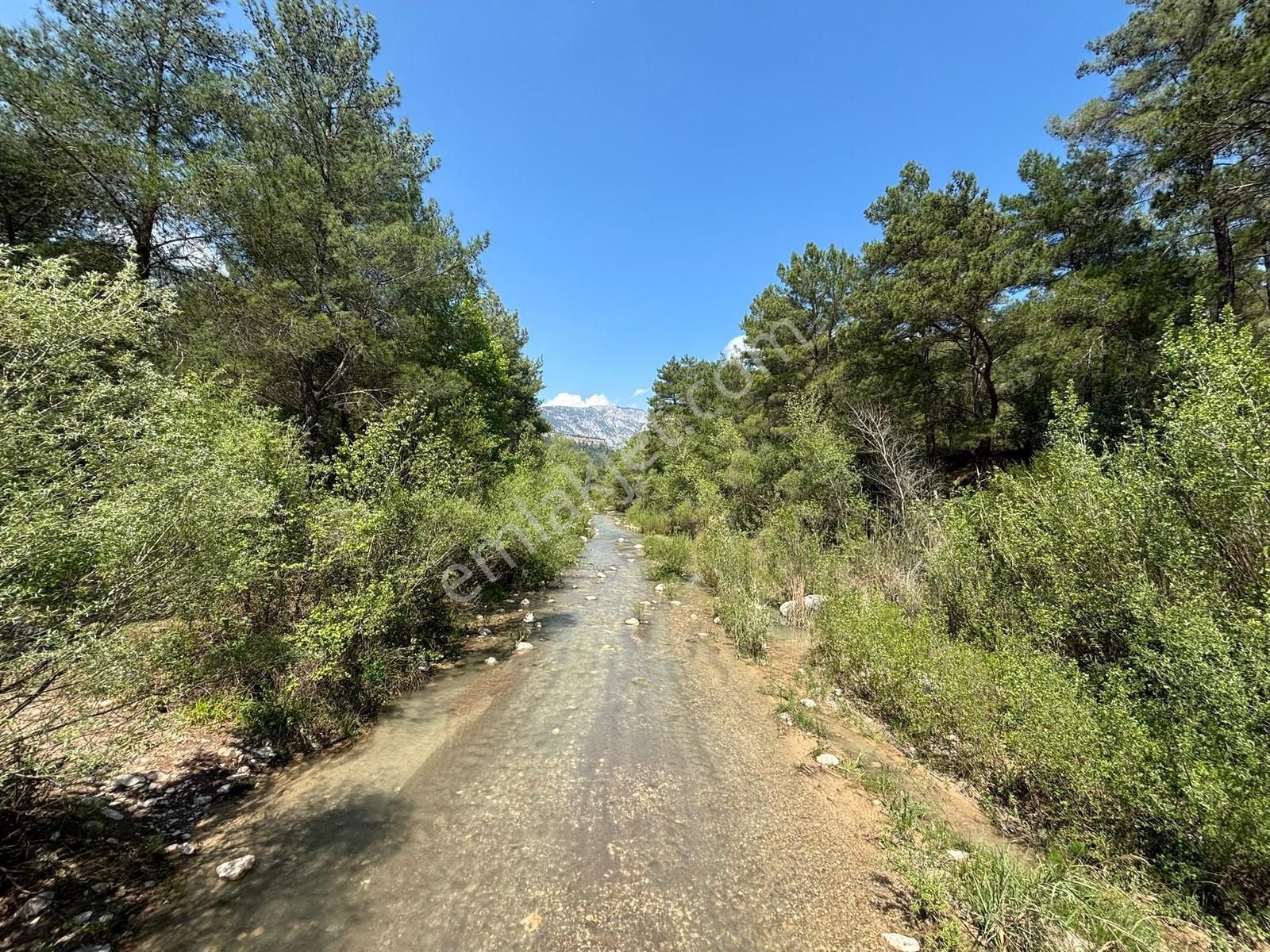 Doğa Harikası Konum 5,5 Dönüm Tek Parsel Kupon Arazi — fotoğraf 6