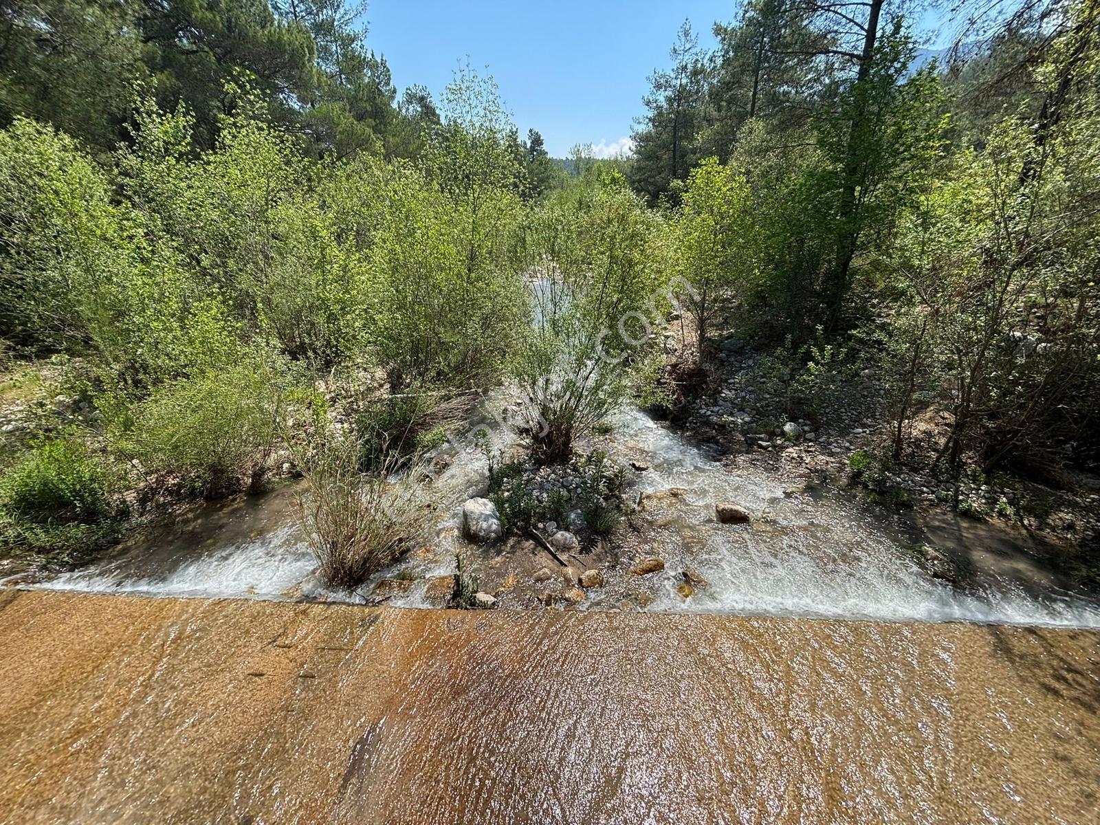 Doğa Harikası Konum 5,5 Dönüm Tek Parsel Kupon Arazi — fotoğraf 8