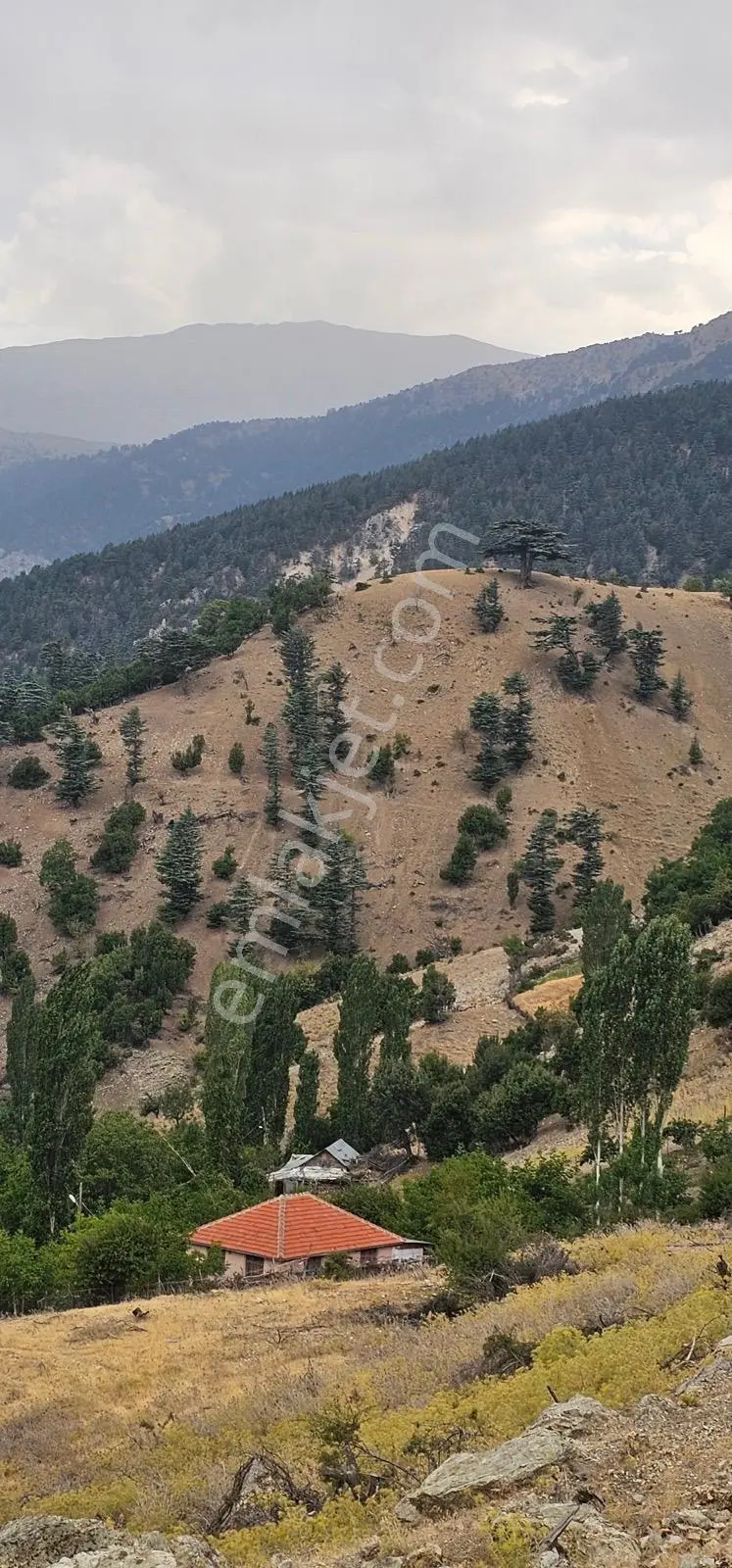 Büyükalan'da Fırsat 2052 Mt2 Yollu, Çeşmeli Arazi — fotoğraf 3