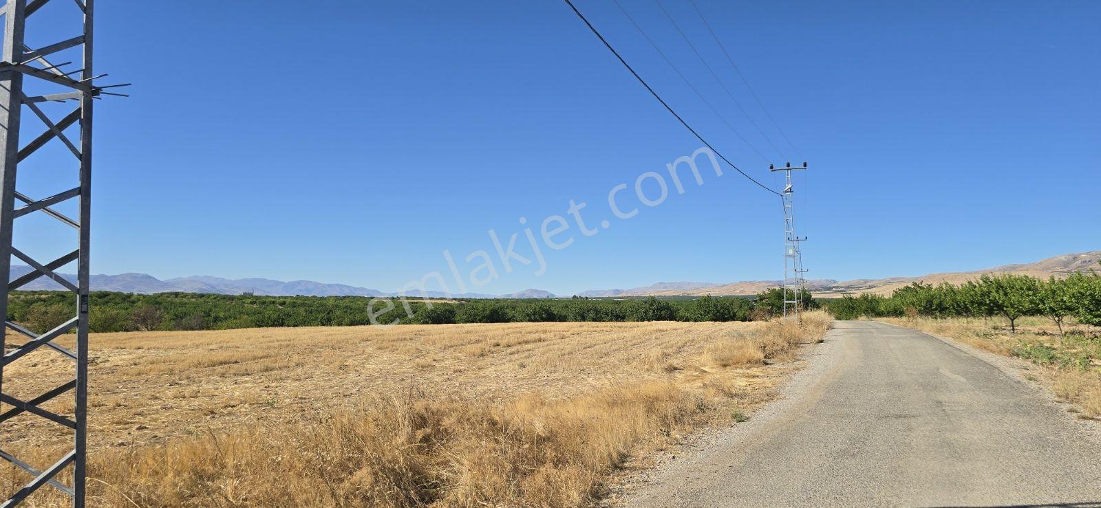 Yeşilyurt Tohma Mahallesinde Satılık 16 Dünüm İki Tarafı Yol Ele — fotoğraf 2