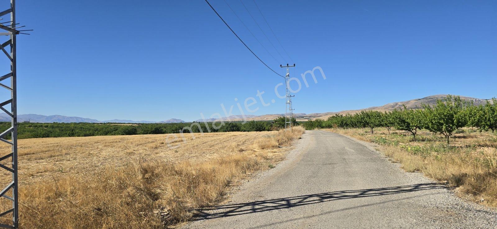 Yeşilyurt Tohma Mahallesinde Satılık 16 Dünüm İki Tarafı Yol Ele — fotoğraf 5