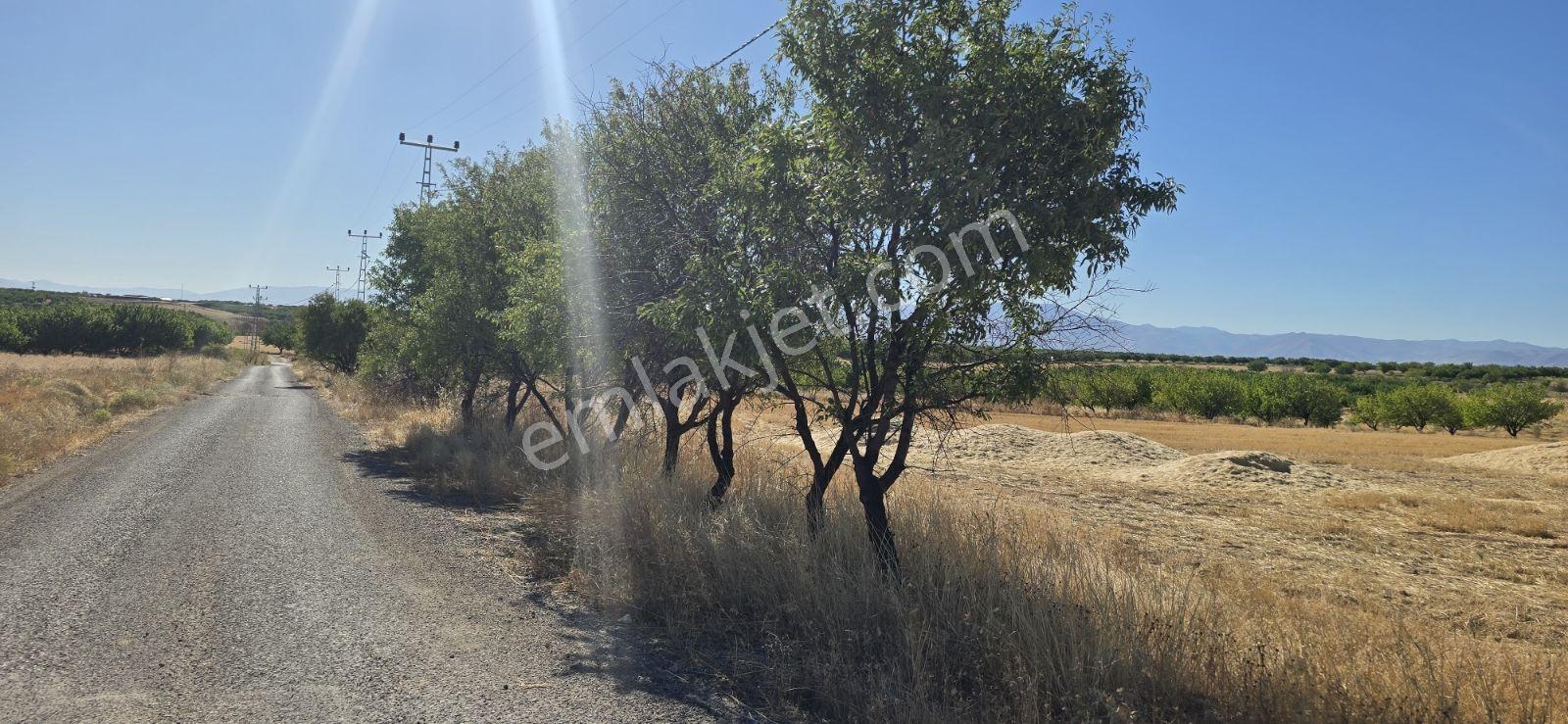 Yeşilyurt Tohma Mahallesinde Satılık 16 Dünüm İki Tarafı Yol Ele — fotoğraf 6