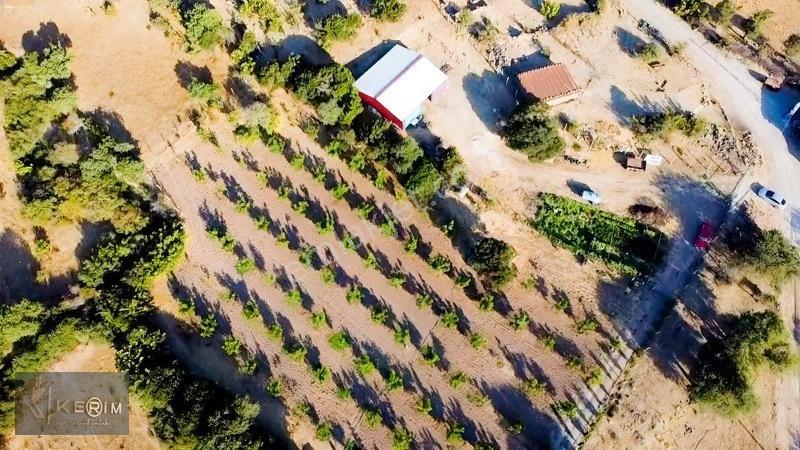 &Kerimden Ayvacık'Da Elk-Su-Yolu Olan Yatırımlık Cevizlik