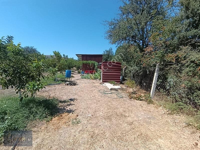 &kerimden Ayvacık'da Elk-su-yolu Olan Yatırımlık Cevizlik — fotoğraf 9
