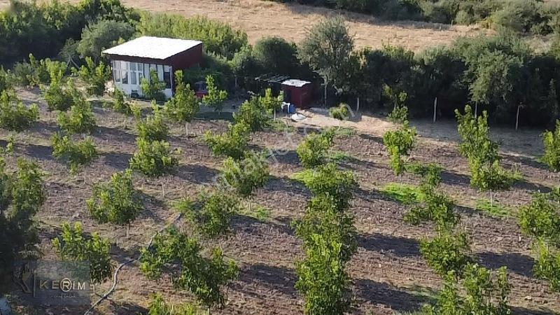 &kerimden Ayvacık'da Elk-su-yolu Olan Yatırımlık Cevizlik — fotoğraf 14