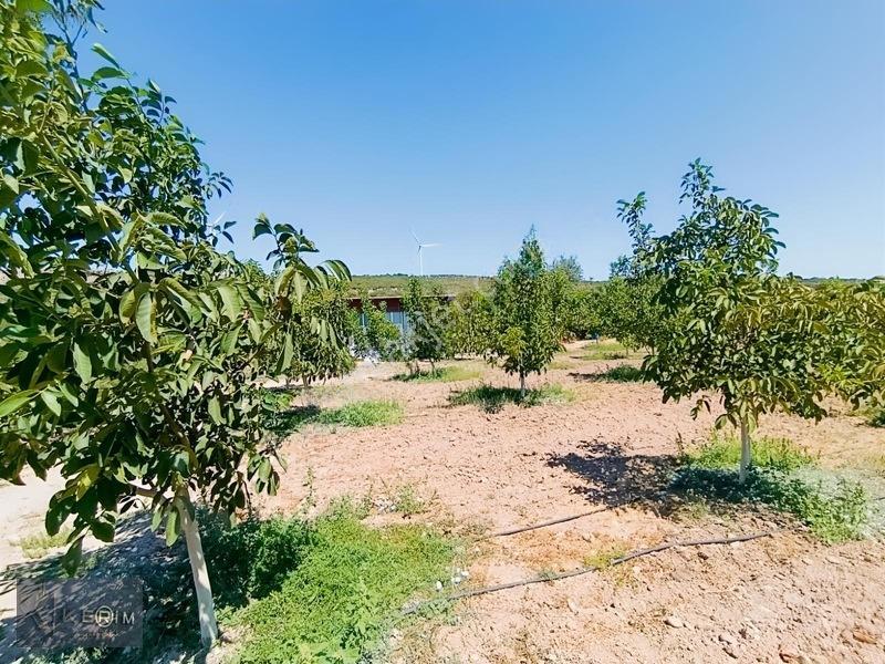 &kerimden Ayvacık'da Elk-su-yolu Olan Yatırımlık Cevizlik — fotoğraf 19