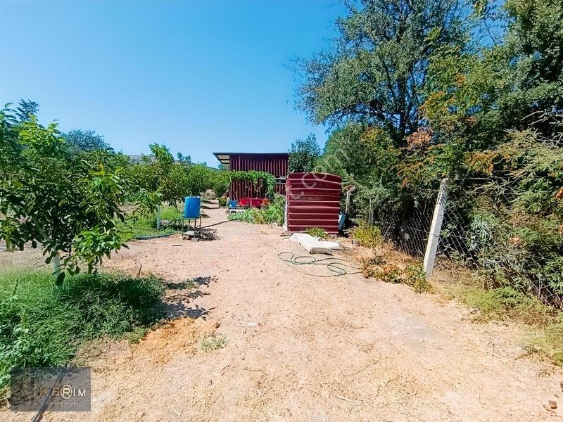 &kerimden Ayvacık'da Elk-su-yolu Olan Yatırımlık Cevizlik — fotoğraf 25
