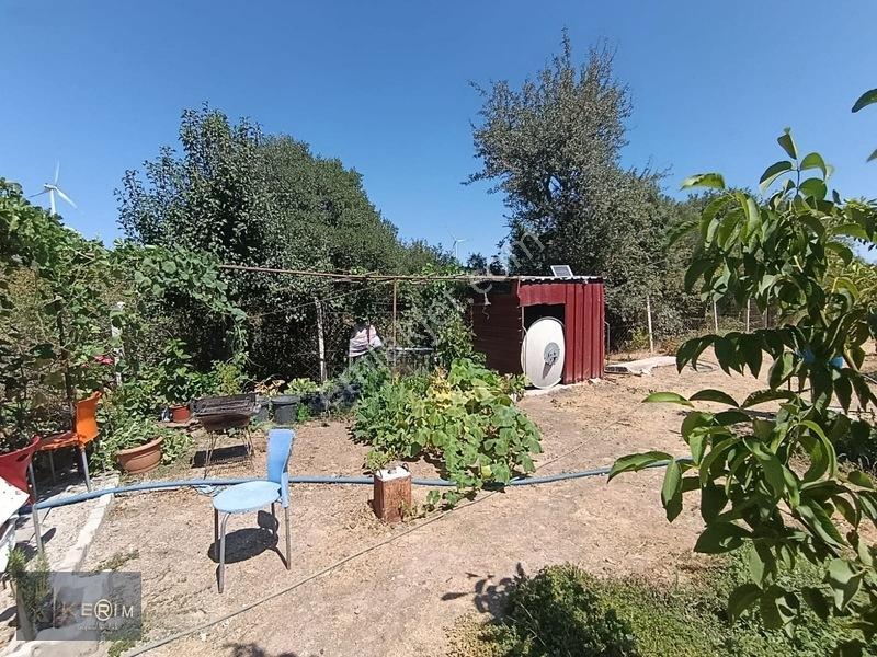 &kerimden Ayvacık'da Elk-su-yolu Olan Yatırımlık Cevizlik — fotoğraf 28