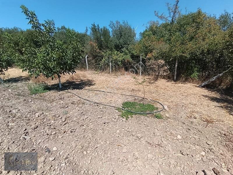 &kerimden Ayvacık'da Elk-su-yolu Olan Yatırımlık Cevizlik — fotoğraf 31