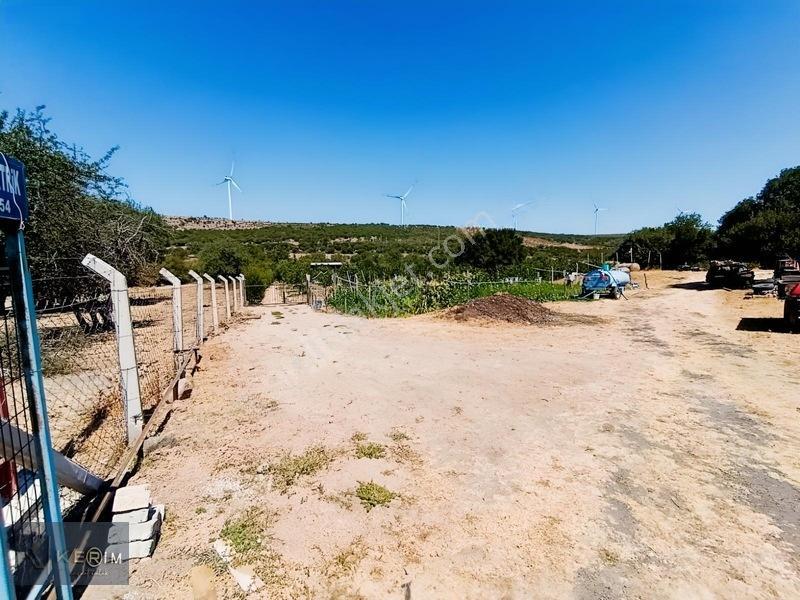 &kerimden Ayvacık'da Elk-su-yolu Olan Yatırımlık Cevizlik — fotoğraf 34