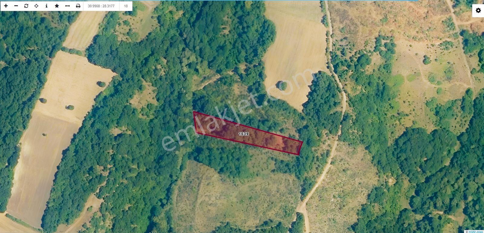 Bursadabul'Dan Güllüce Organizeye Yakın Yatırımlık Tarla 3200M2