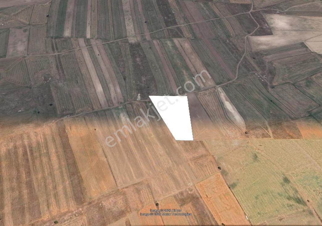 Rw Detay'dan Seyitgazi Sarayören Mh. 9,162 M2 Satılık Tarla — fotoğraf 2
