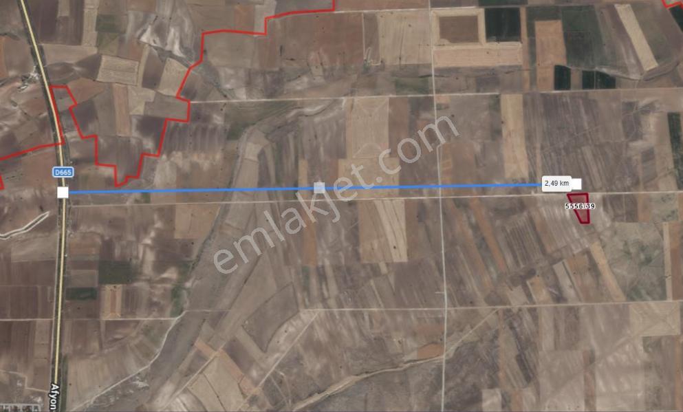 Rw Detay'dan Seyitgazi Sarayören Mh. 9,162 M2 Satılık Tarla — fotoğraf 4