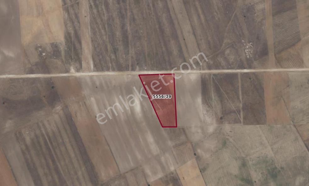 Rw Detay'dan Seyitgazi Sarayören Mh. 9,162 M2 Satılık Tarla — fotoğraf 5