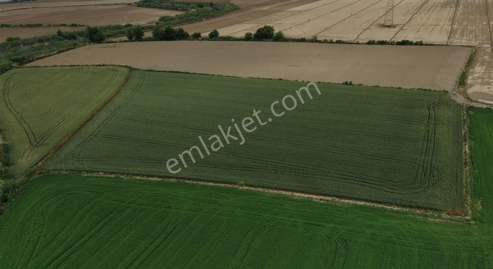 Nazilli Sümerde Satılık Sulak Verimli Arazi — fotoğraf 2