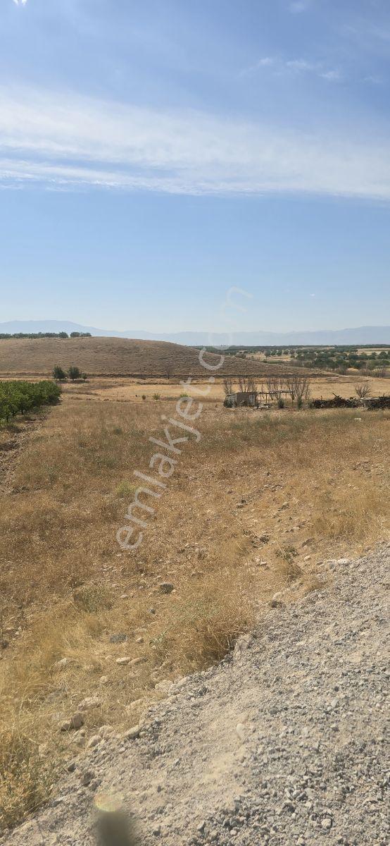 Yeşilyurt Tohma Mahallesinde Köy Bitişiği Satılık 6200 M² Arsa — fotoğraf 2
