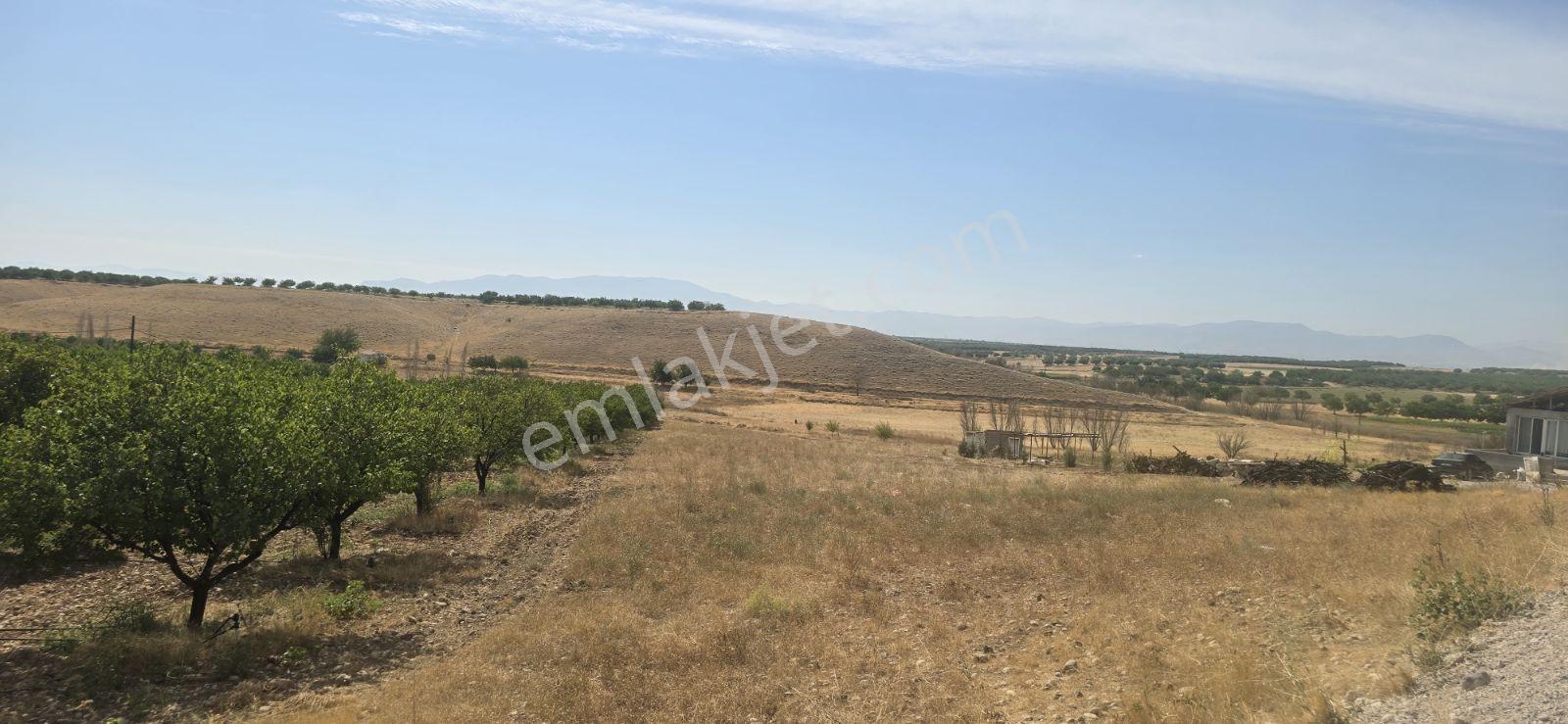 Yeşilyurt Tohma Mahallesinde Köy Bitişiği Satılık 6200 M² Arsa — fotoğraf 3