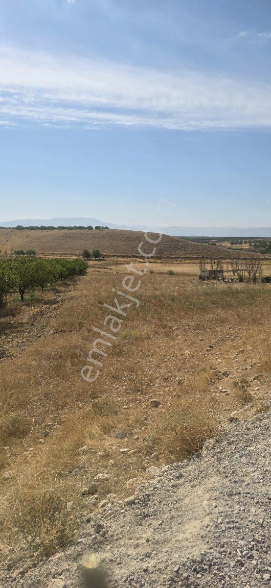 Yeşilyurt Tohma Mahallesinde Köy Bitişiği Satılık 6200 M² Arsa — fotoğraf 4