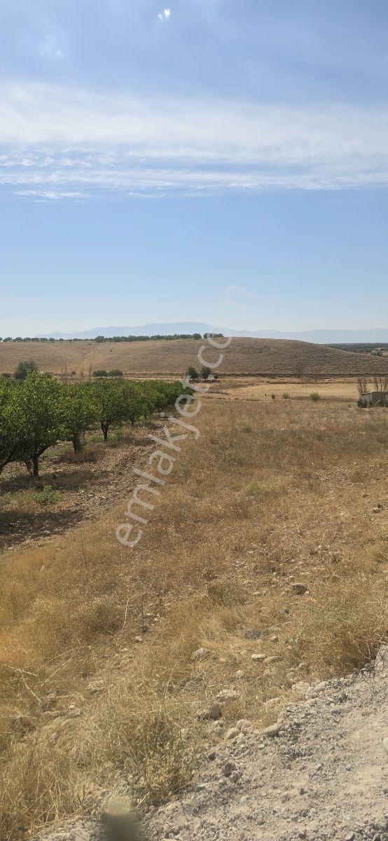 Yeşilyurt Tohma Mahallesinde Köy Bitişiği Satılık 6200 M² Arsa — fotoğraf 6