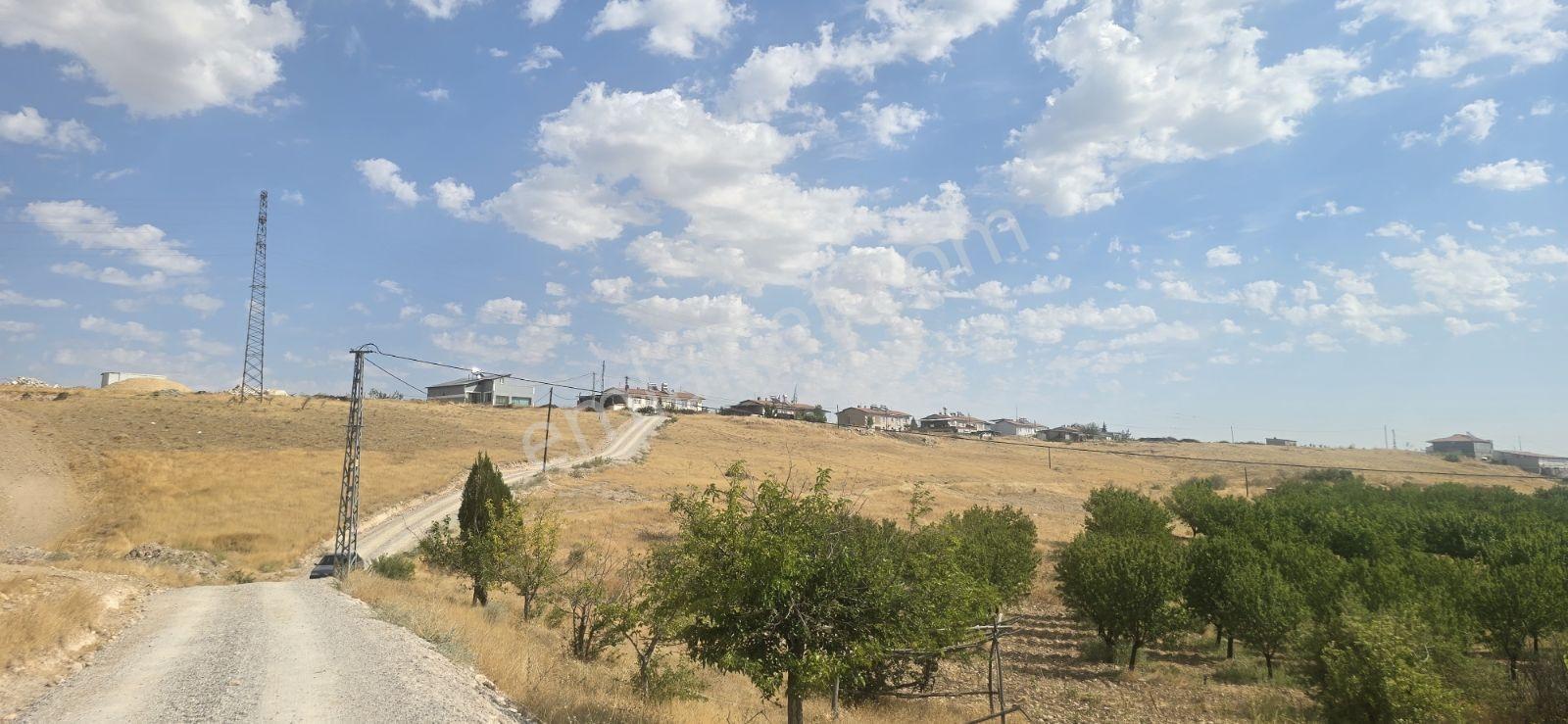 Yeşilyurt Tohma Mahallesinde Köy Bitişiği Satılık 6200 M² Arsa — fotoğraf 9