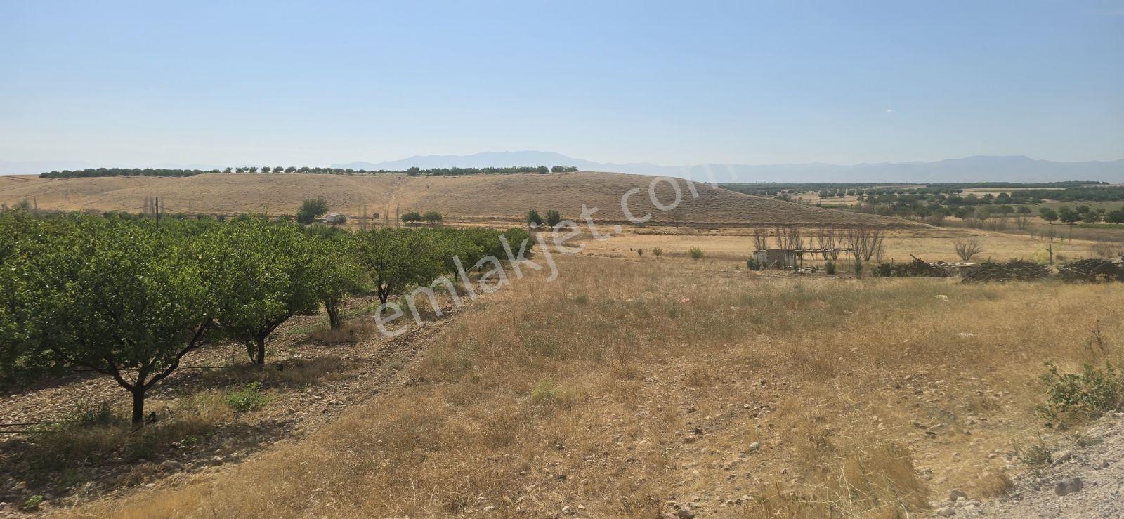 Yeşilyurt Tohma Mahallesinde Köy Bitişiği Satılık 6200 M² Arsa — fotoğraf 12