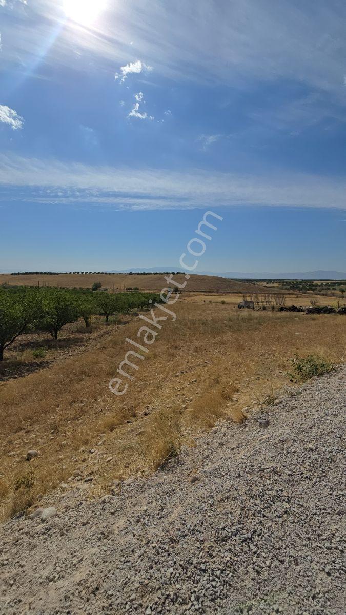 Yeşilyurt Tohma Mahallesinde Köy Bitişiği Satılık 6200 M² Arsa — fotoğraf 13