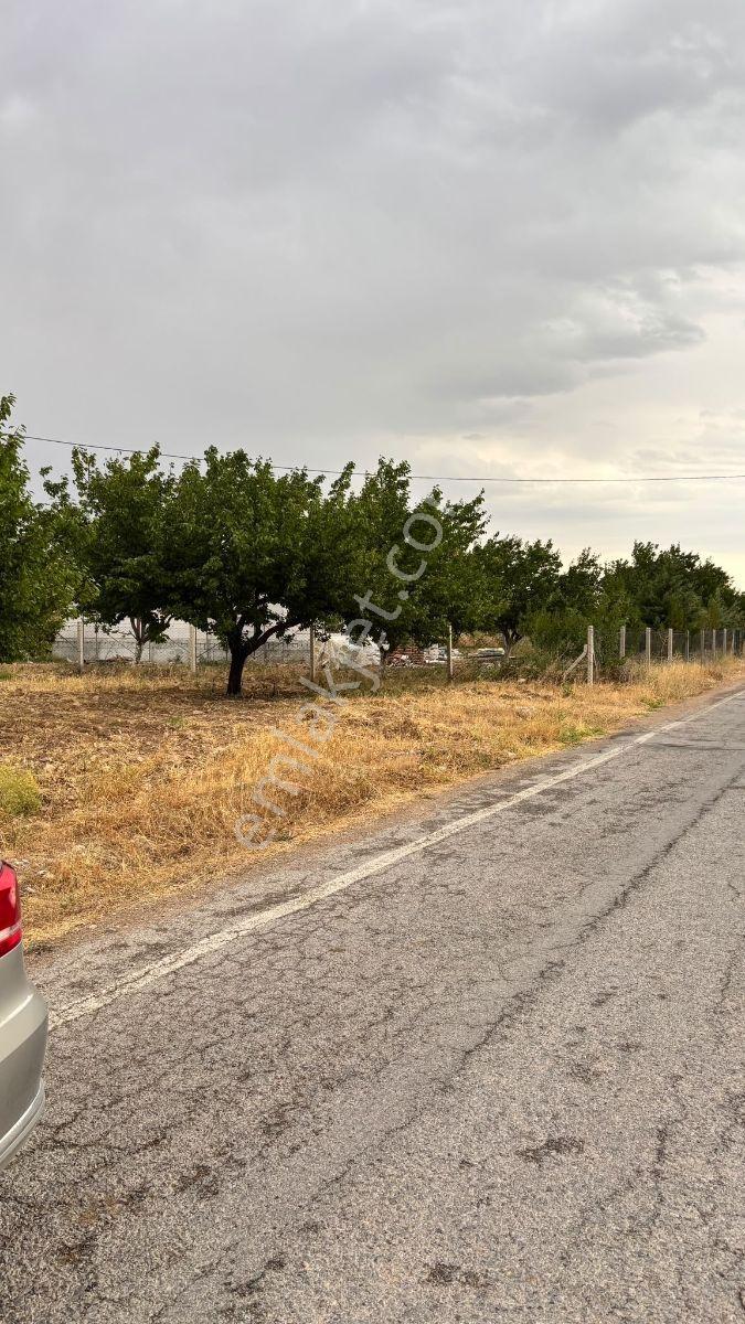 Yeşilyurt Tohma Mahallesinde Köy Merkezinde Ana Yola Cephe Satıl — fotoğraf 13