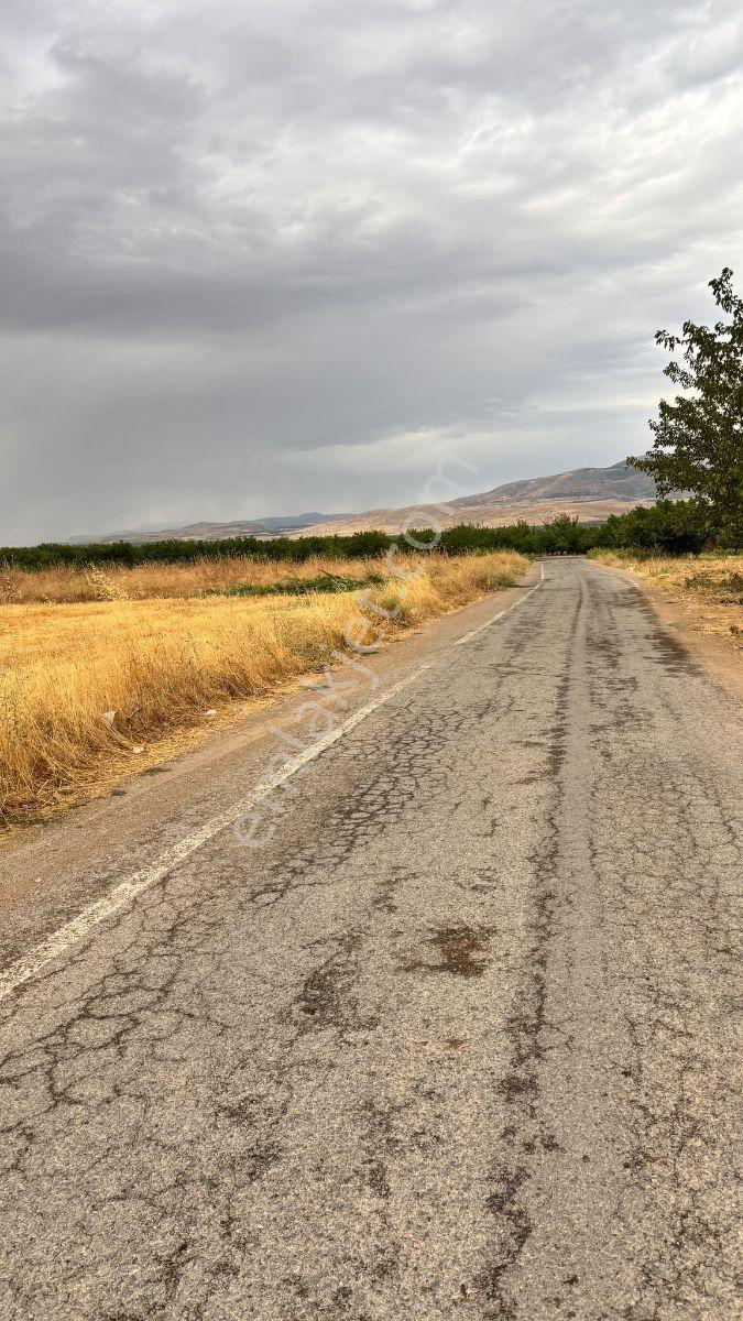 Yeşilyurt Tohma Mahallesinde Köy Merkezinde Ana Yola Cephe Satıl — fotoğraf 14