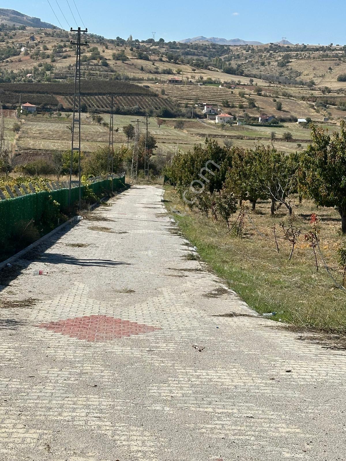 Morcalı Köyü’nde İçerisin'de Evi 2+1 Evi 6.400 M² Bahçe İçerisinde Doğayla İç İçe Huzurlu Bir Yaşam! — fotoğraf 15
